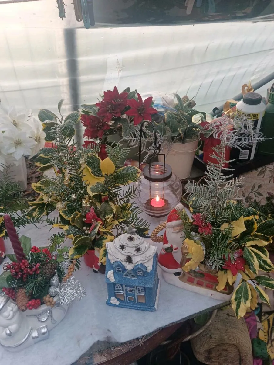 Beautiful Santa pots 5 each - Image 1