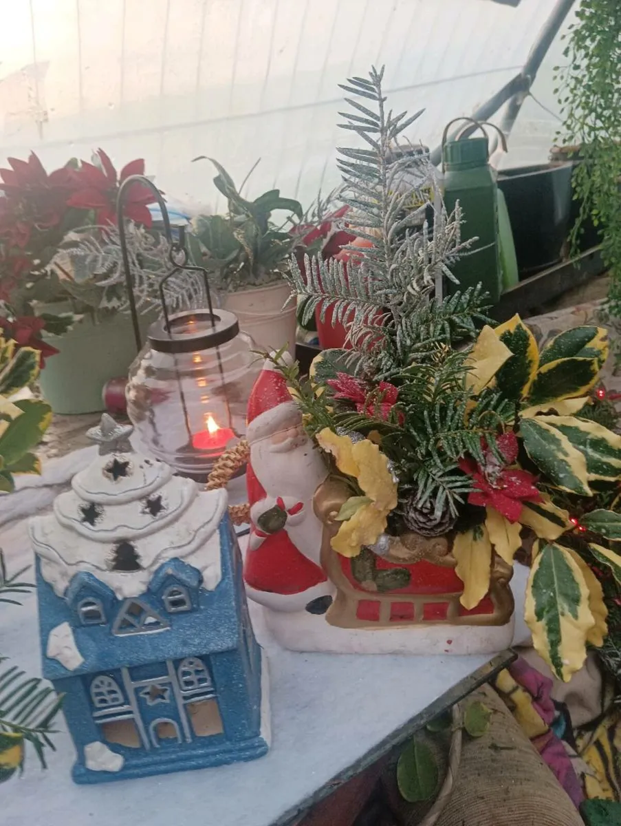 Beautiful Santa pots 5 each - Image 3