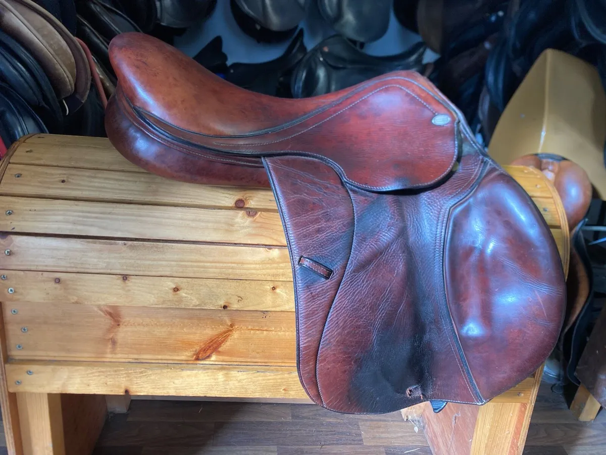 17.5-18” Chamberlain jump saddle - Image 1