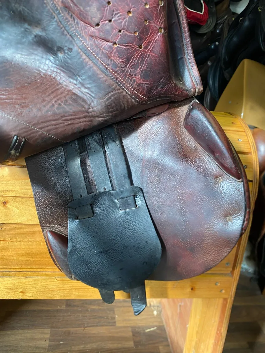 17.5-18” Chamberlain jump saddle - Image 4