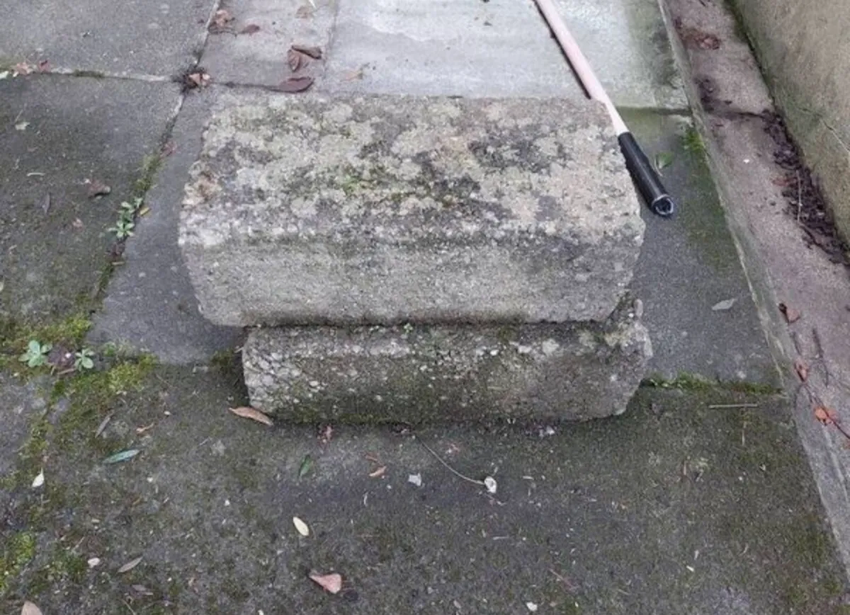 BRICKS FREE - Image 1