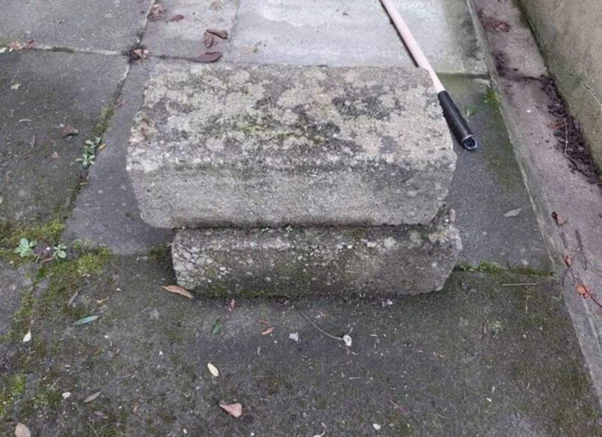 BRICKS FREE - Image 2