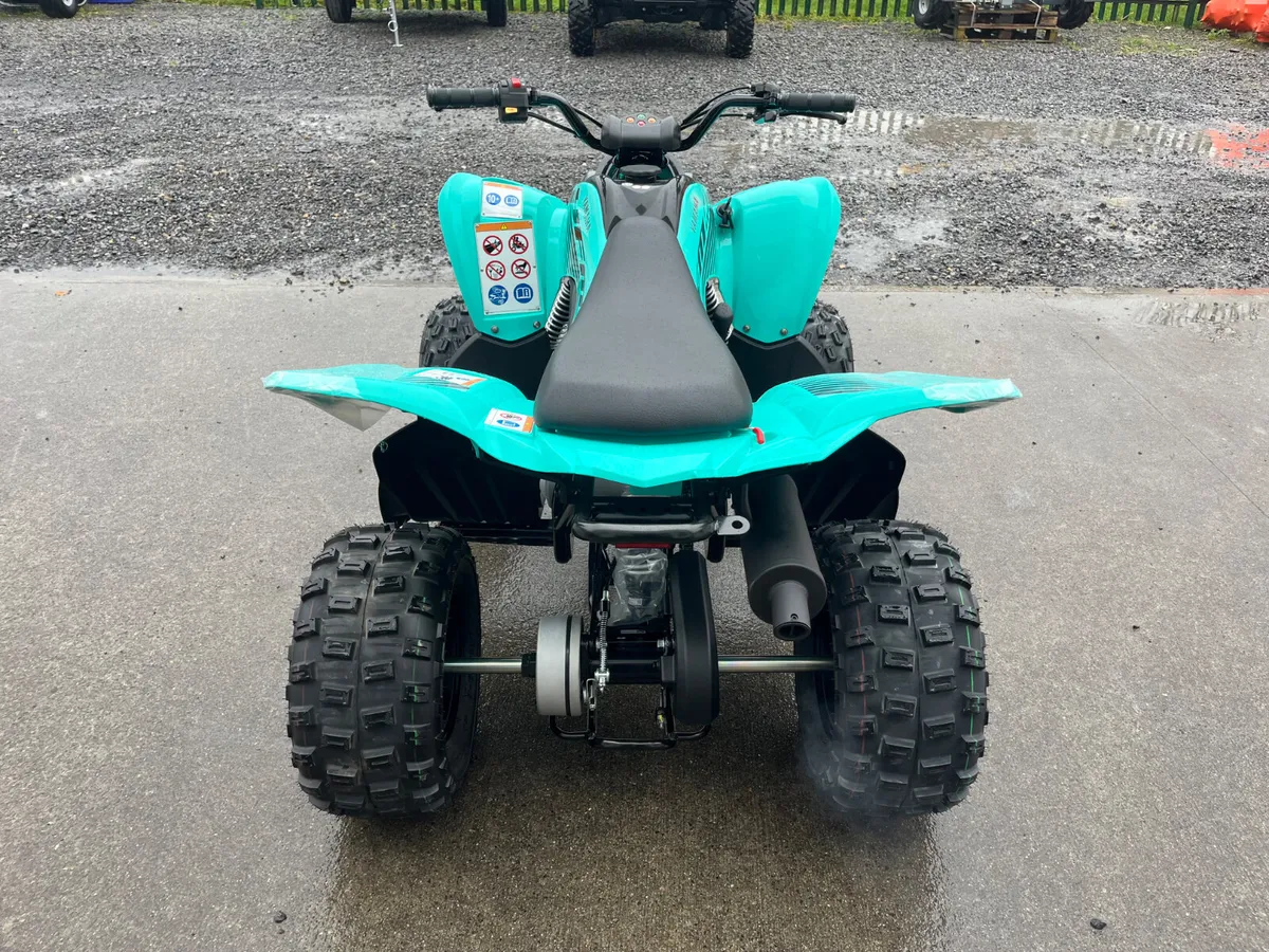 Yamaha Raptor 110 Kids Quads 🎄 - Image 4
