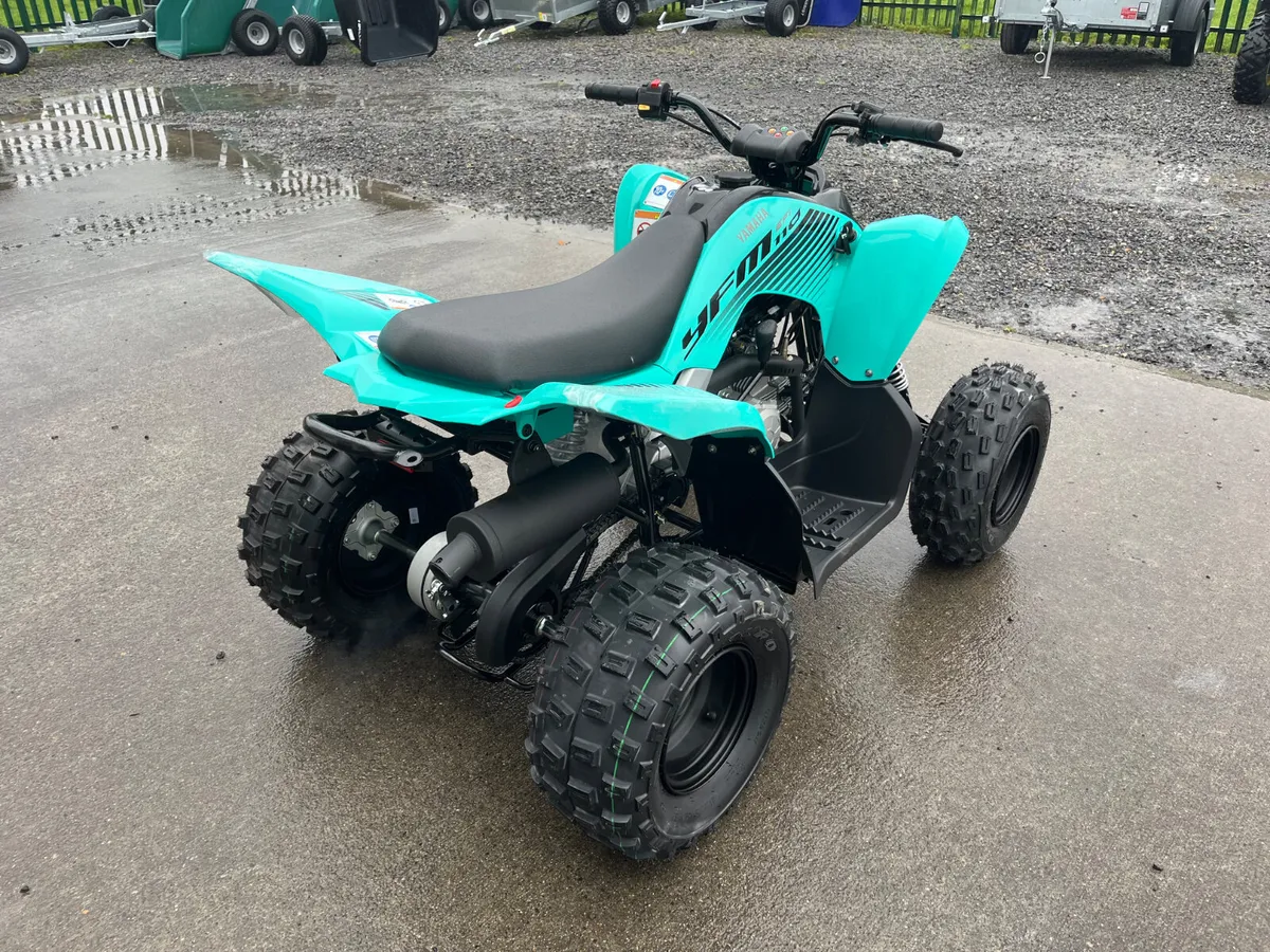 Yamaha Raptor 110 Kids Quads 🎄 - Image 3