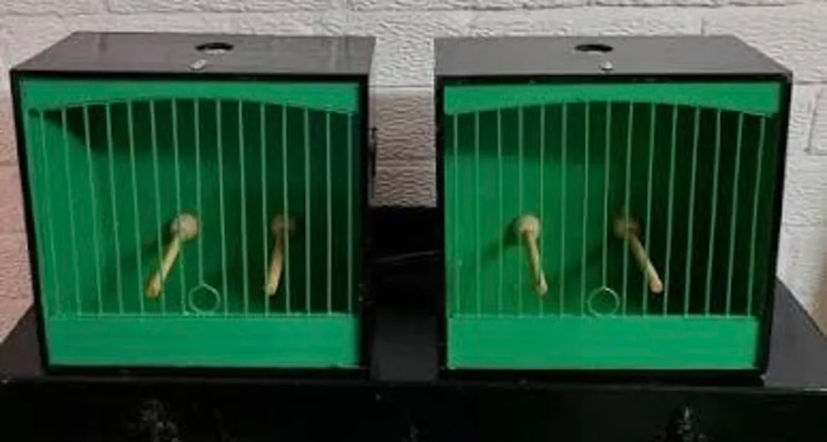 Native Show cages No1