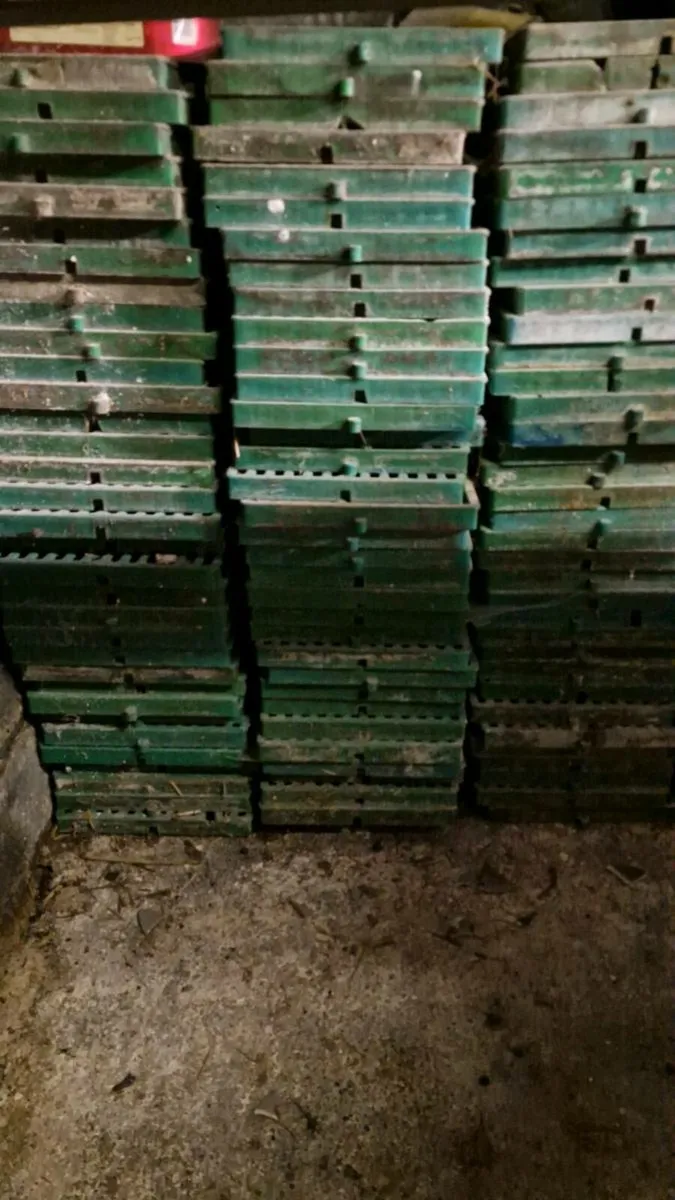 ***Plastic Sheep Slats*** - Image 2