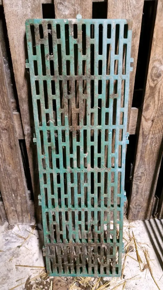 ***Plastic Sheep Slats*** - Image 4