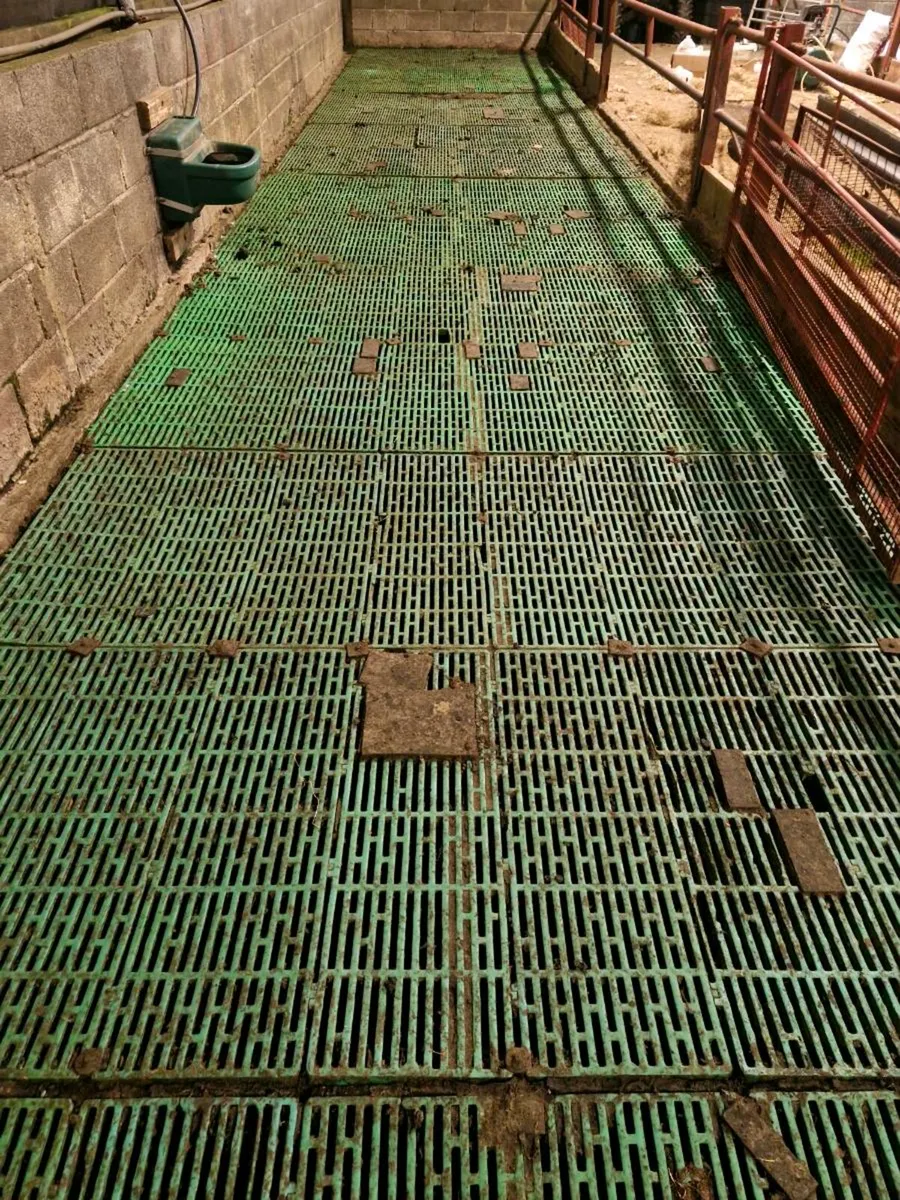 ***Plastic Sheep Slats*** - Image 1