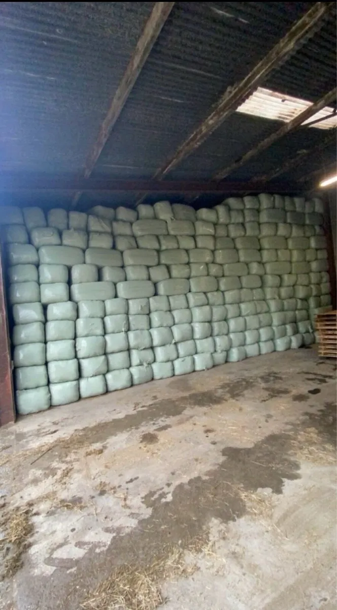 Haylage - Image 3