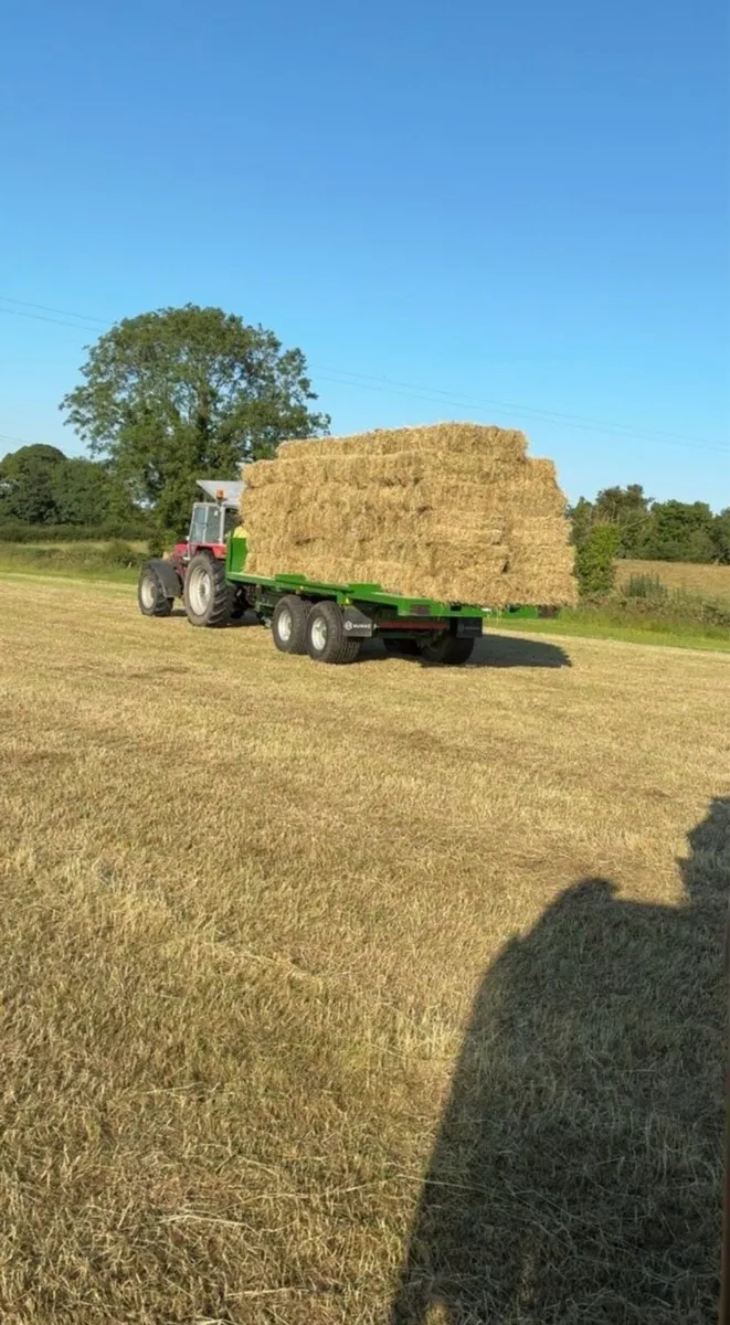 Haylage - Image 4