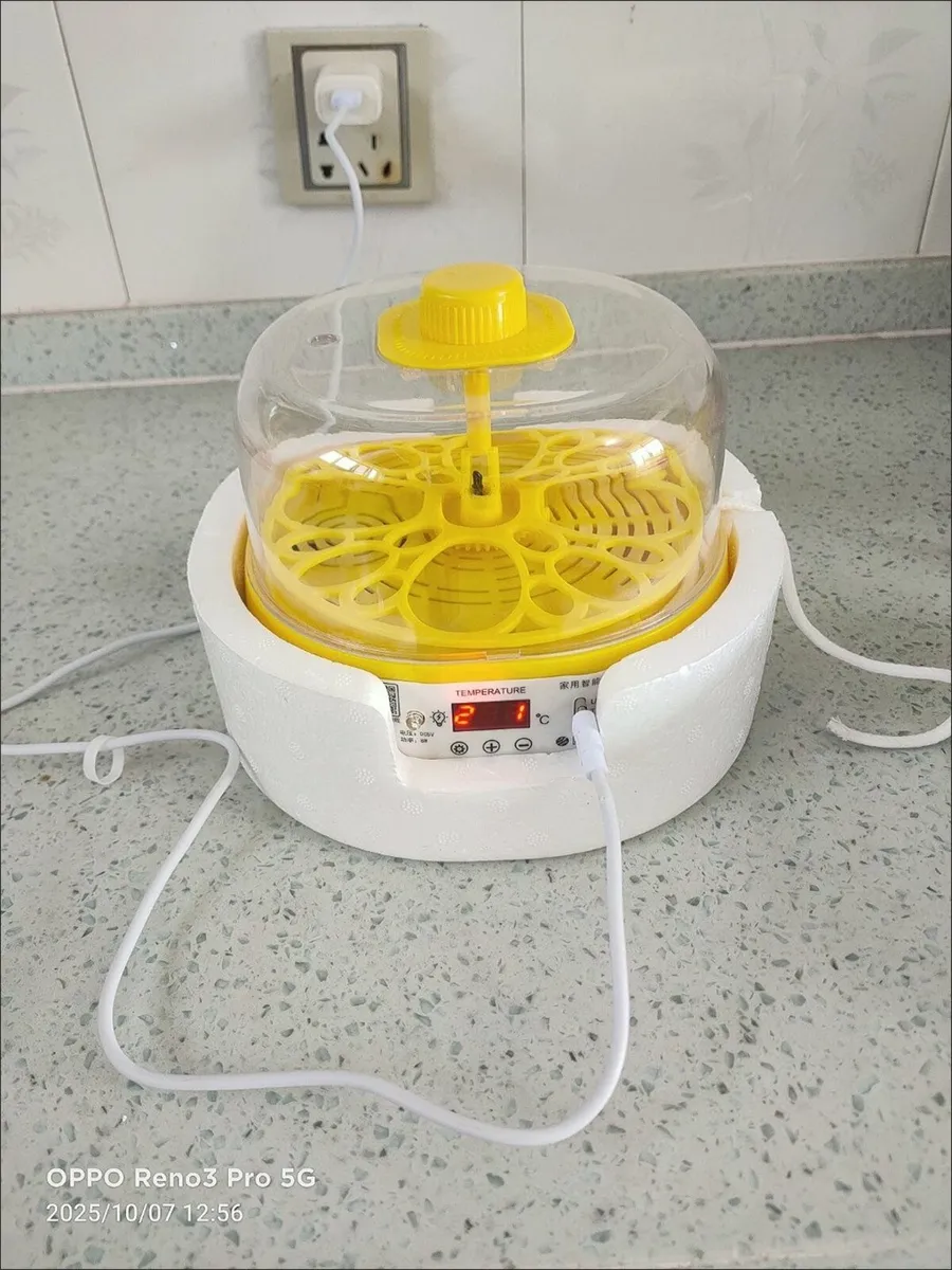 Automatic Egg Incubato - Image 2