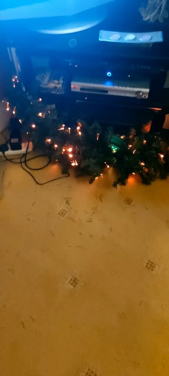 48 " Fibre Optic Christmas Garland. - Image 1