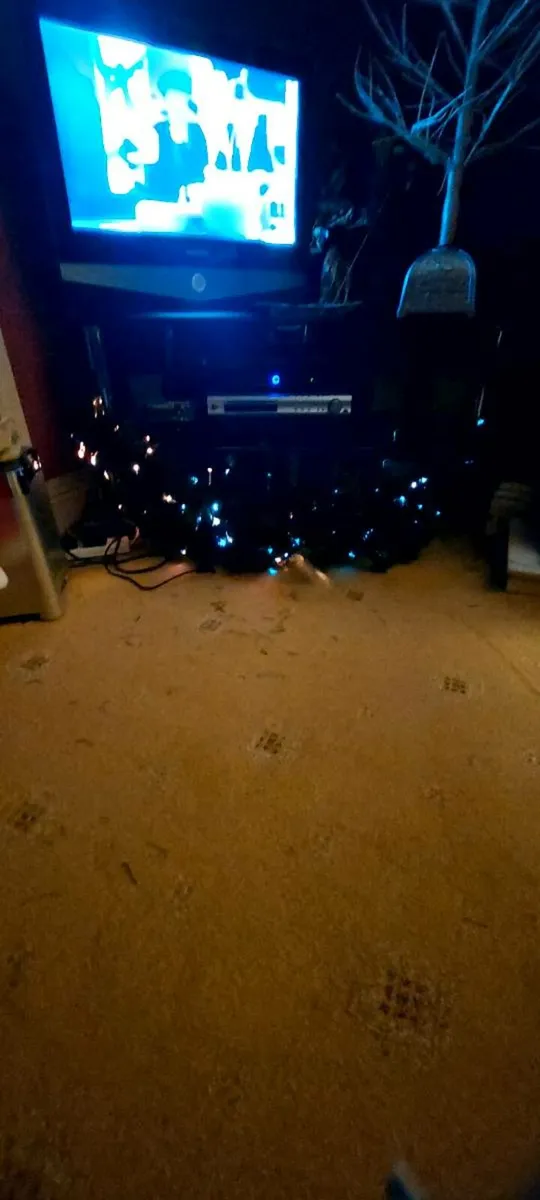 48 " Fibre Optic Christmas Garland. - Image 2