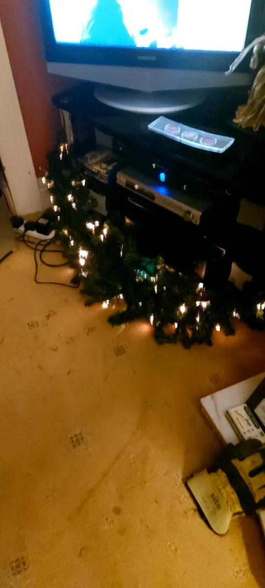 48 " Fibre Optic Christmas Garland. - Image 3