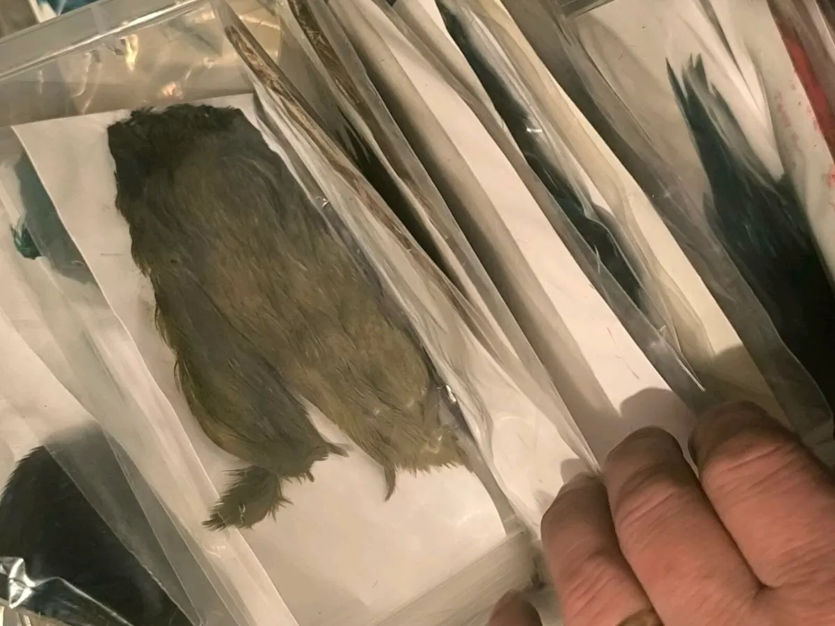 Fly tying capes saddles tinsels threads tools etc. - Image 3