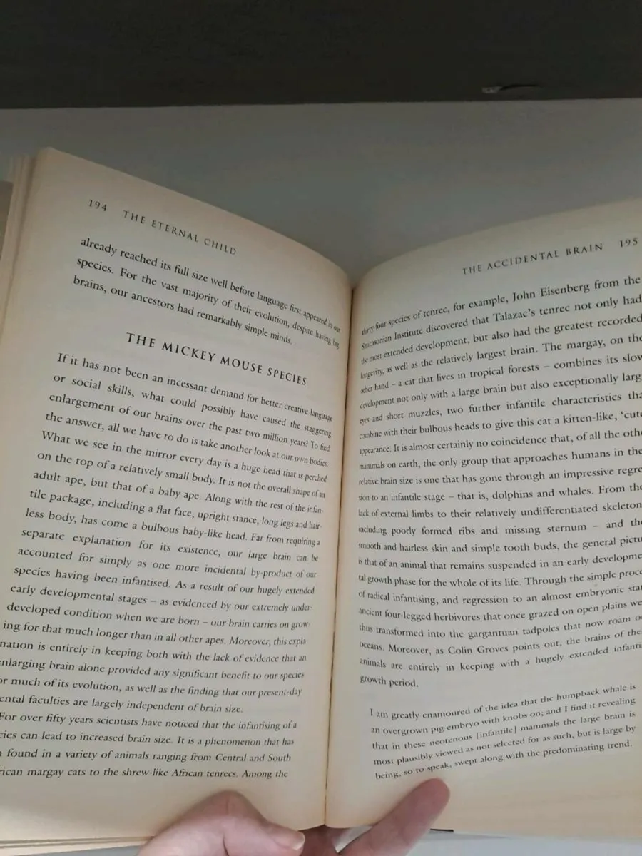 The Eternal Child - Image 3