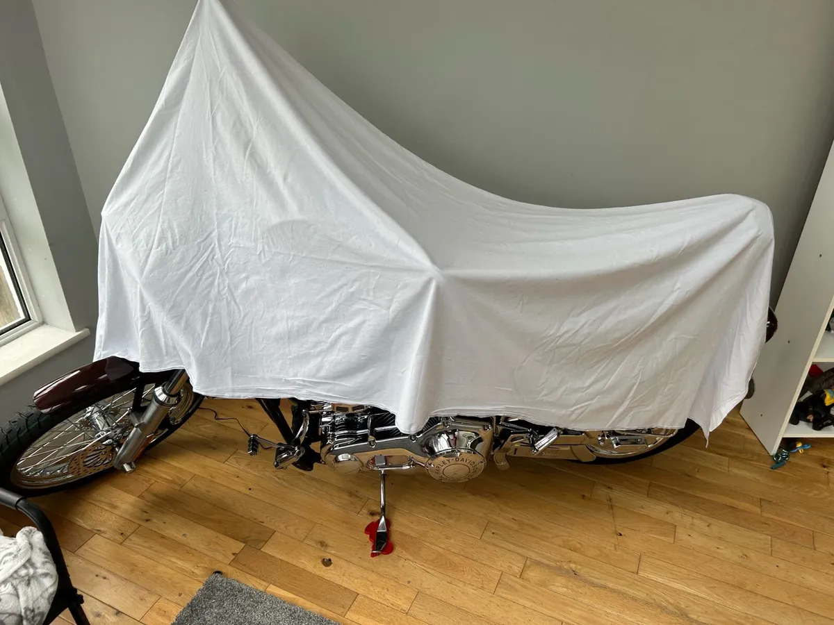 Harley Davidson Dyna 2000 low km. - Image 2