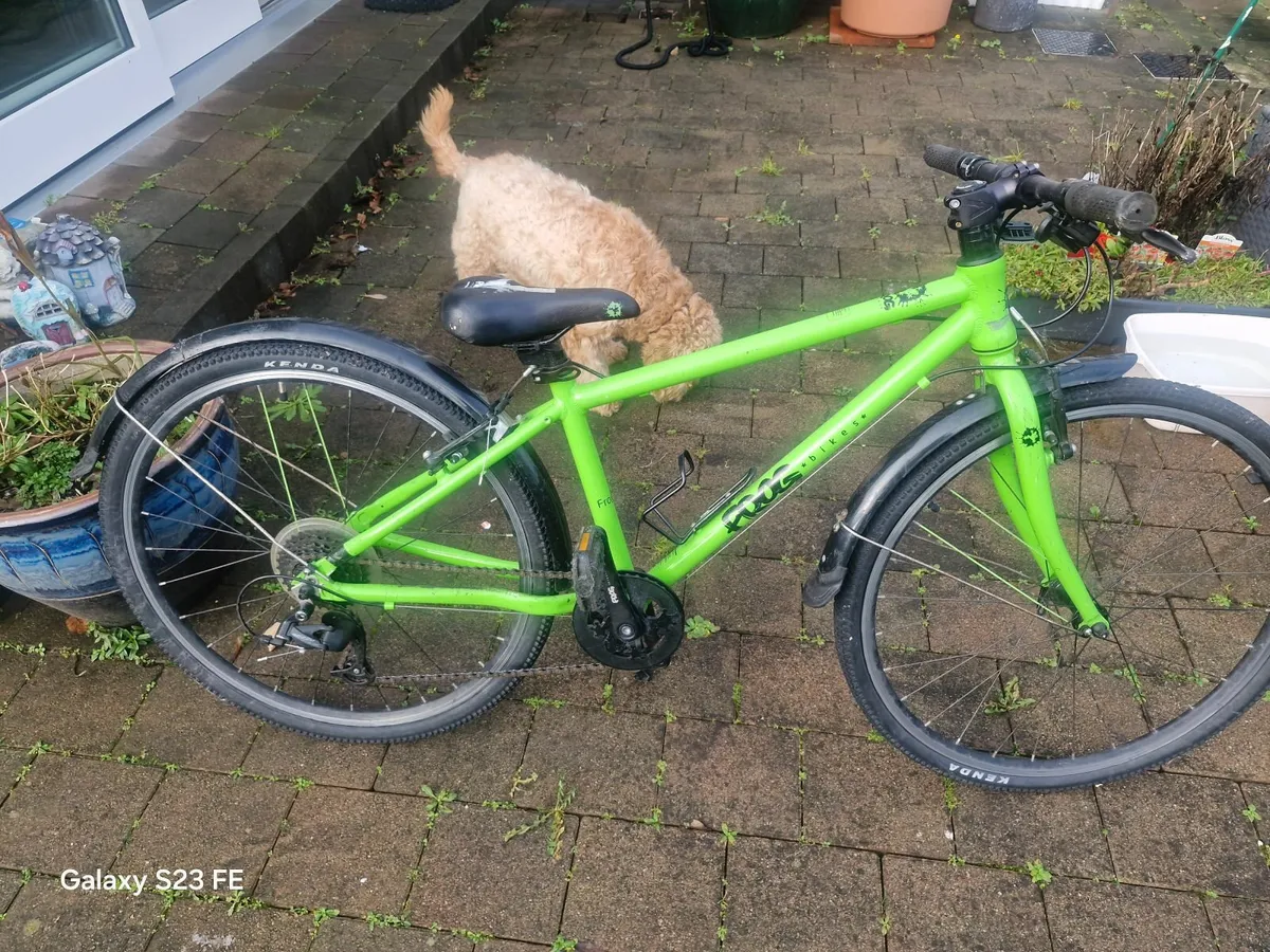 Frog 69 Bicycle - Image 4