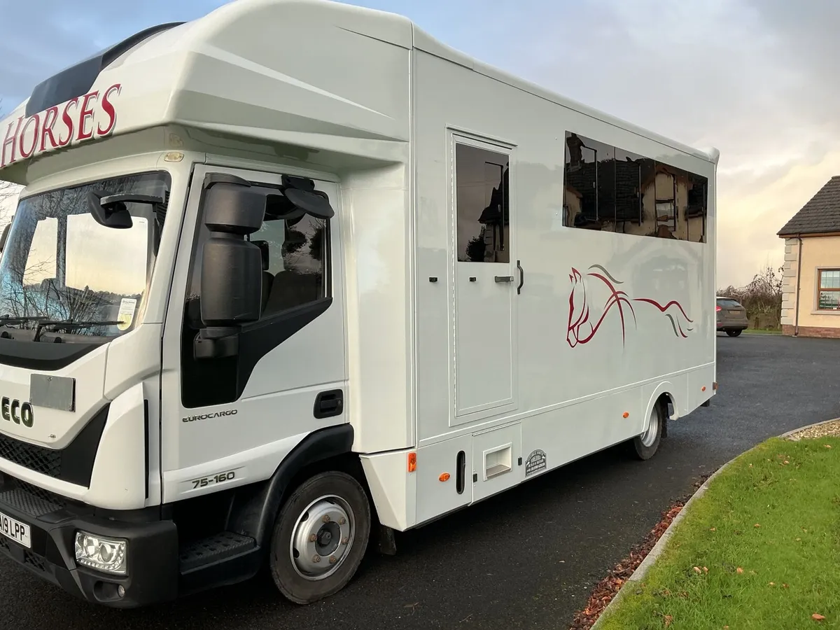 2019 horsebox - Image 2