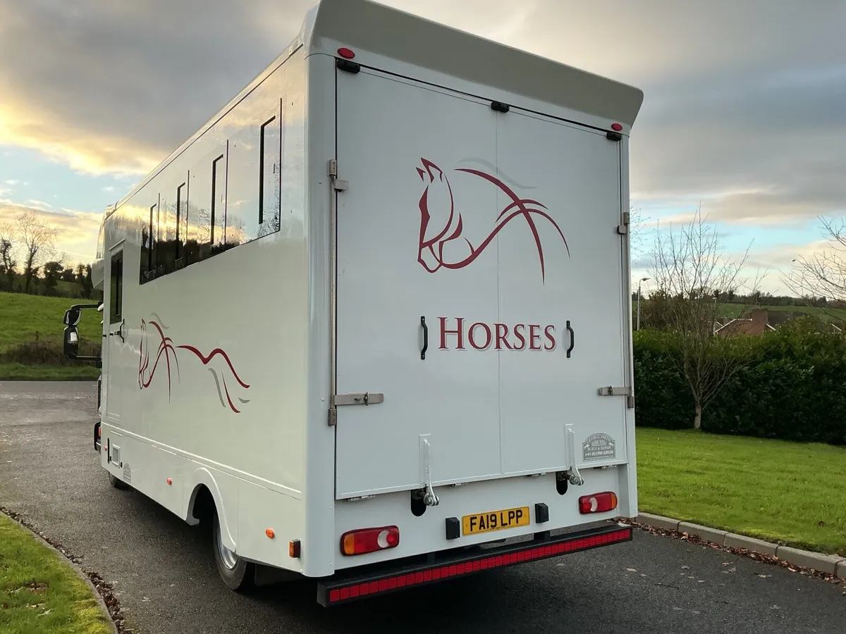 2019 horsebox - Image 3