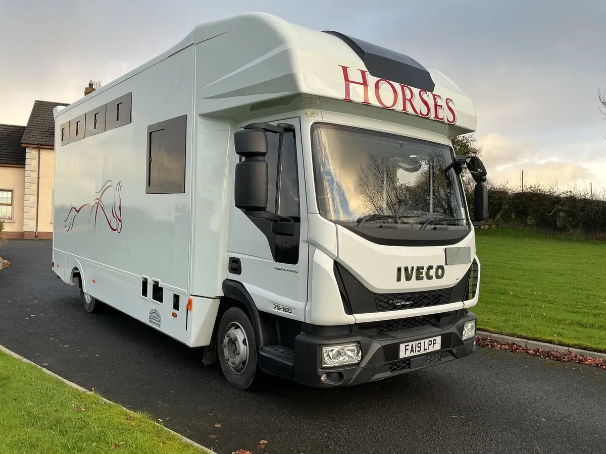 2019 horsebox - Image 1