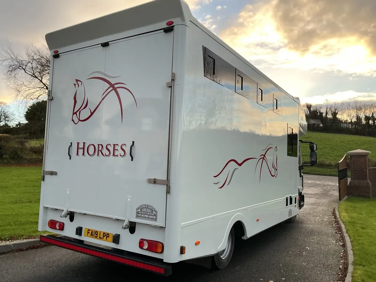 2019 horsebox - Image 4
