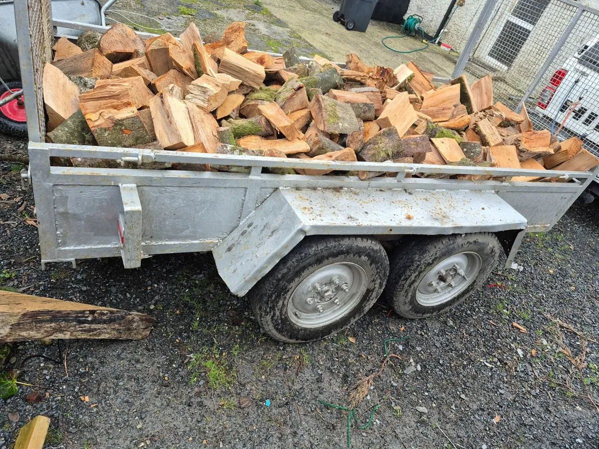Firewood - Image 1