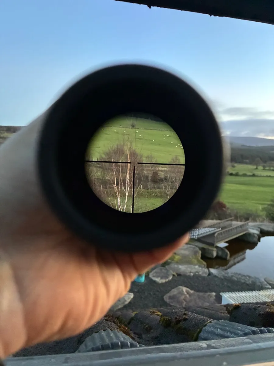 Hunting Scope Zeiss Diavari 3-12*56 T* - Image 2