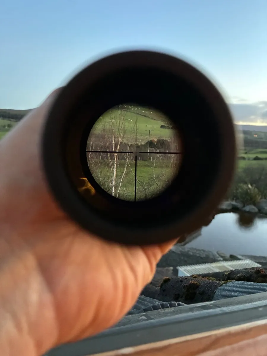 Hunting Scope Zeiss Diavari 3-12*56 T* - Image 3