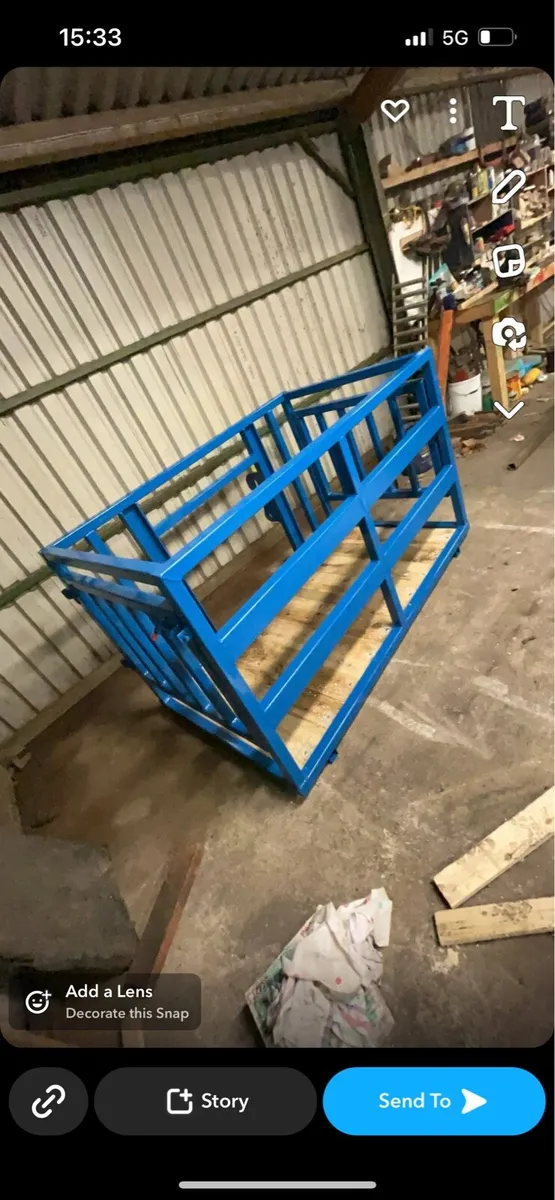 Heavy duty calf crate / Saftey cage - Image 1