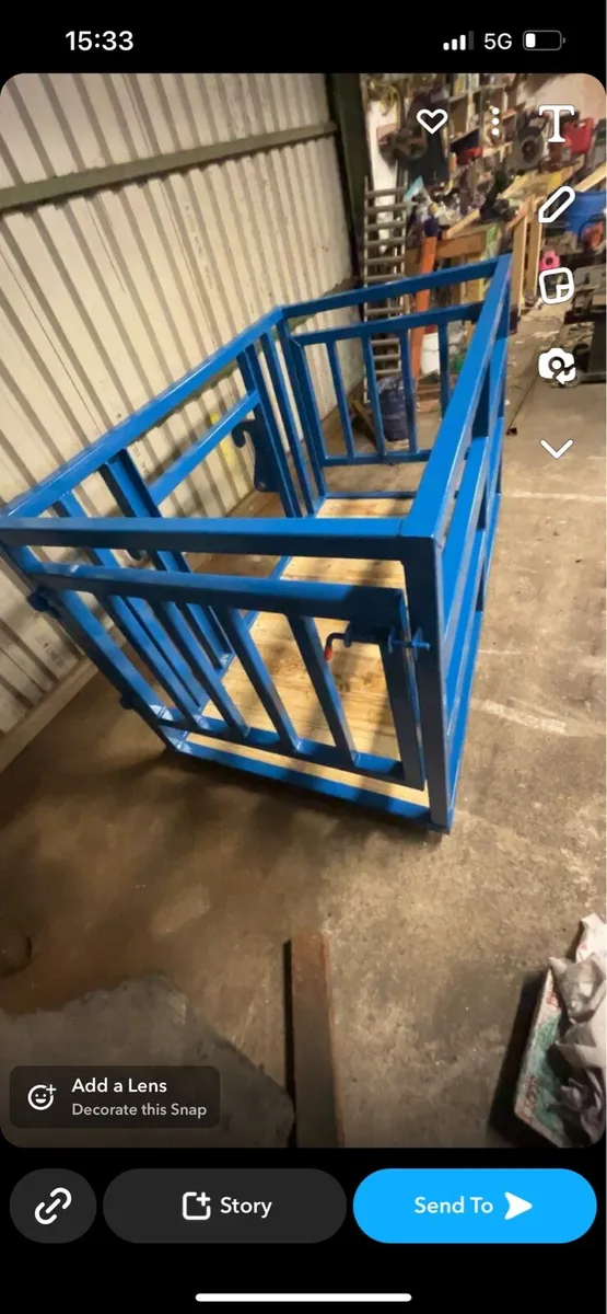 Heavy duty calf crate / Saftey cage - Image 2