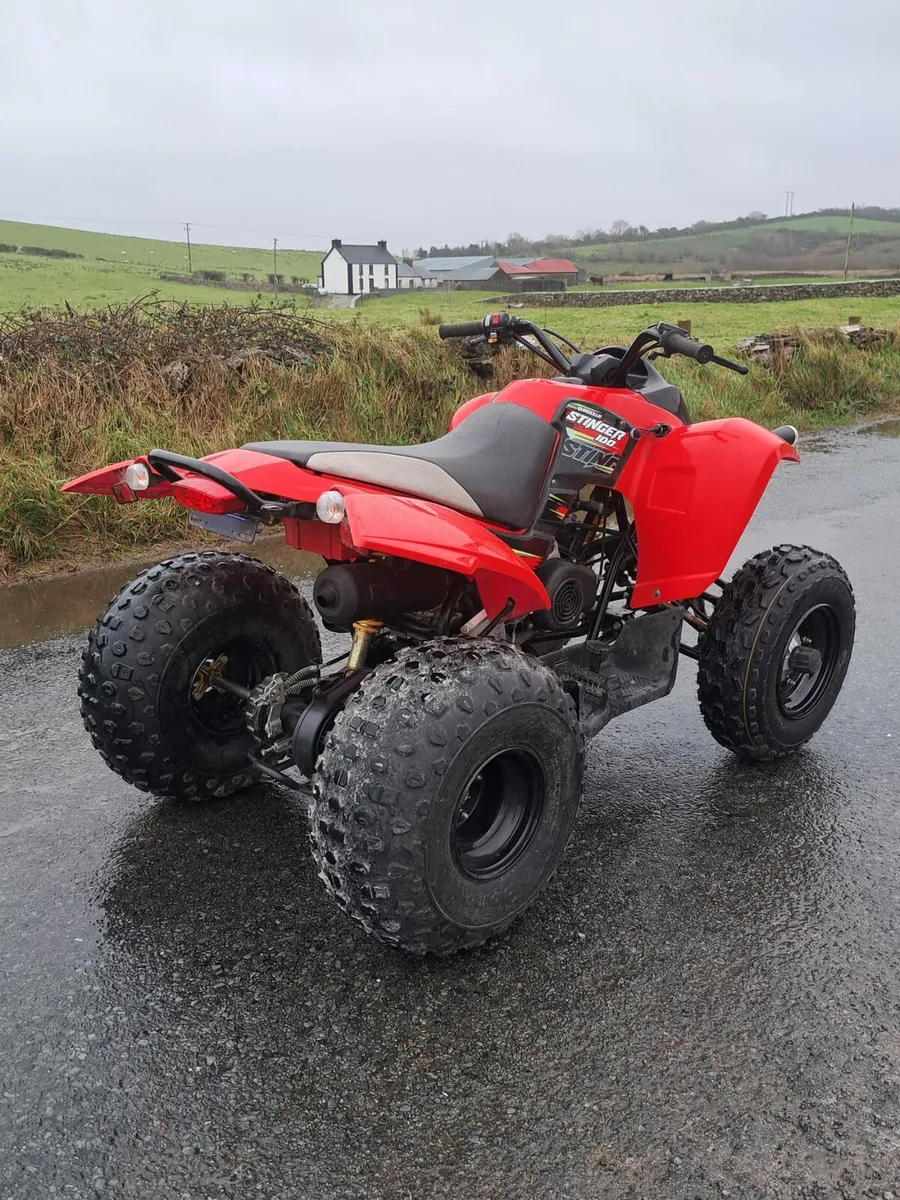 Quadzilla stinger 100cc - Image 3