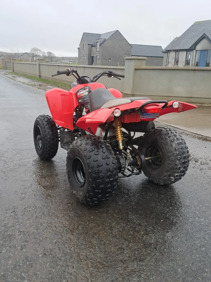 Quadzilla stinger 100cc - Image 4