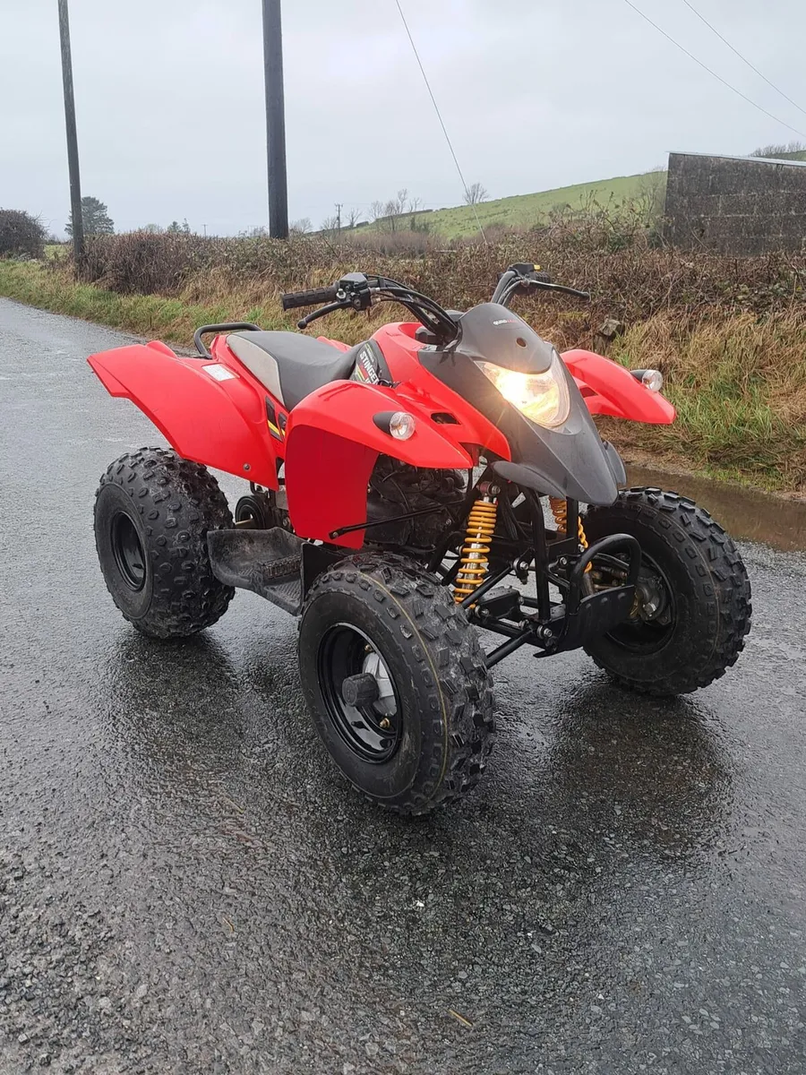 Quadzilla stinger 100cc - Image 1
