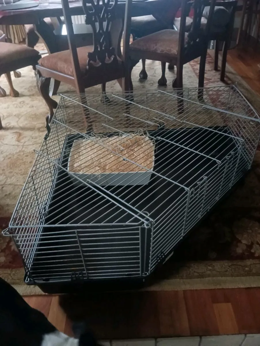 Large cage,80 - Image 1