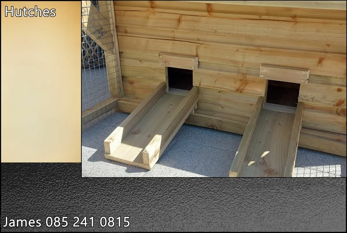 Guinea Pig / Rabbit Enclosures - Image 3