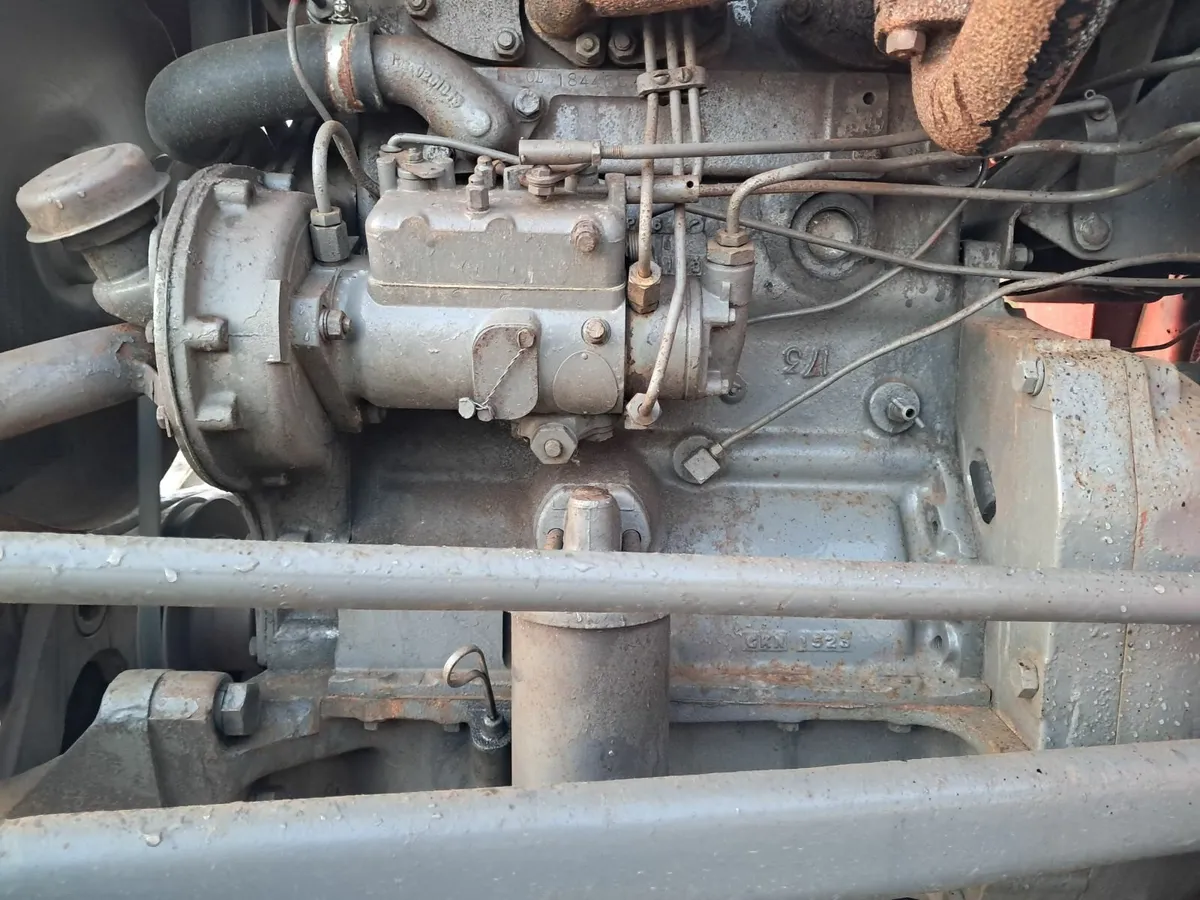 Massey ferguson 35 3cylinder - Image 3