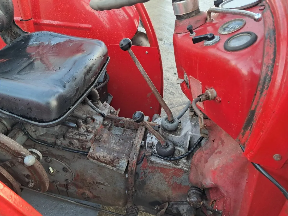 Massey ferguson 35 3cylinder - Image 4