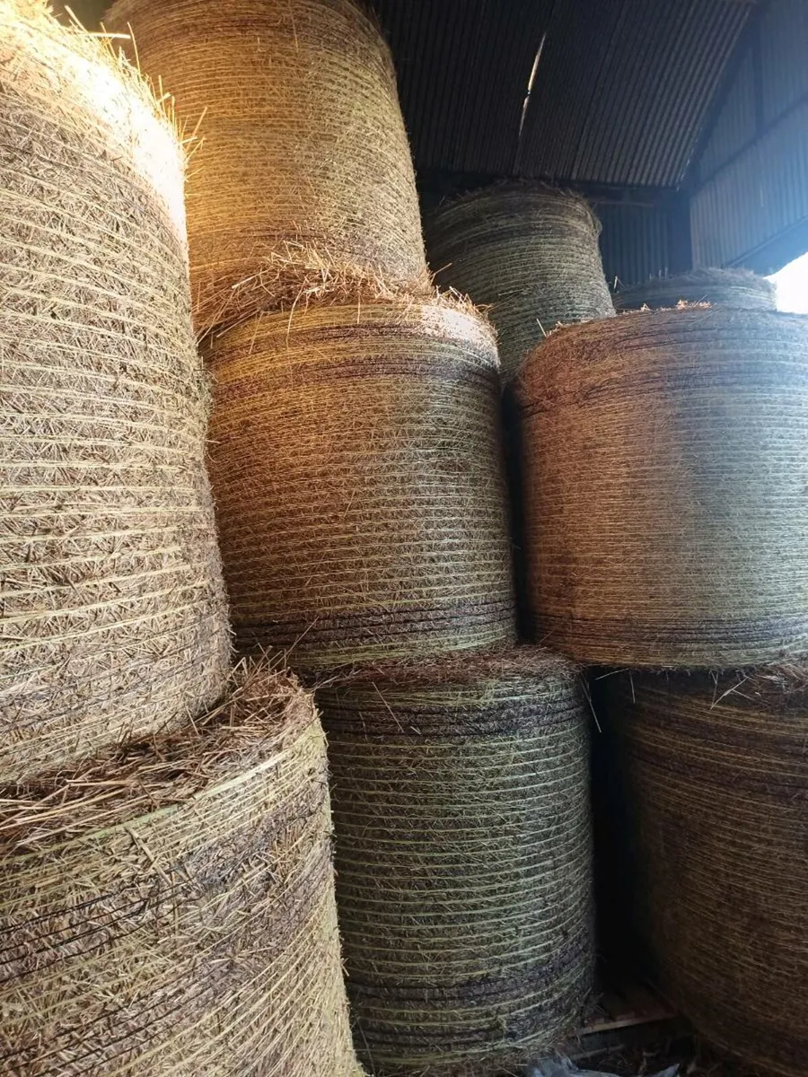Bales of Hay & Rushes - Image 2
