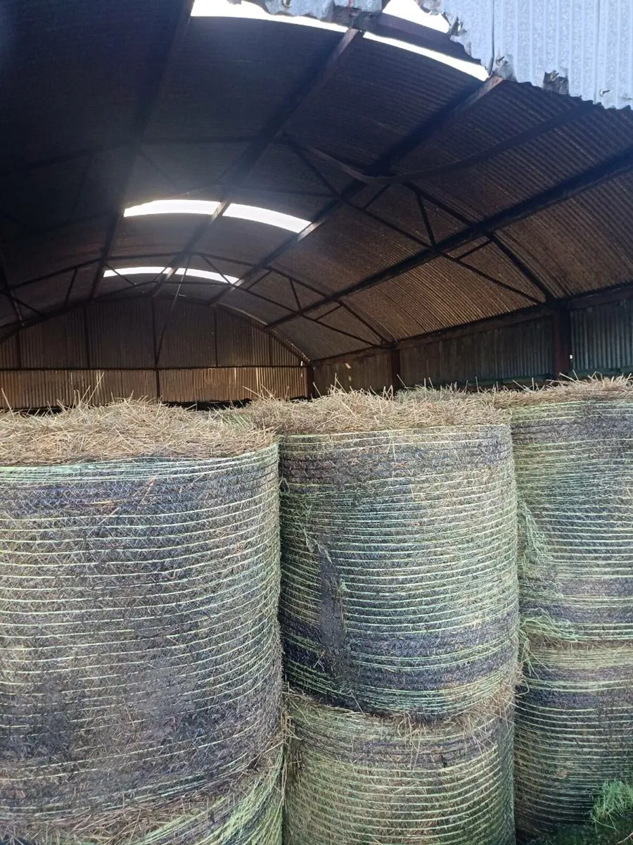 Bales of Hay & Rushes - Image 4