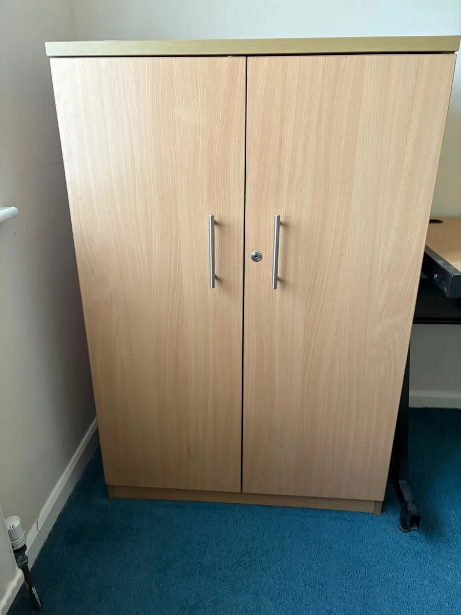 Shelves - FREE - Image 1