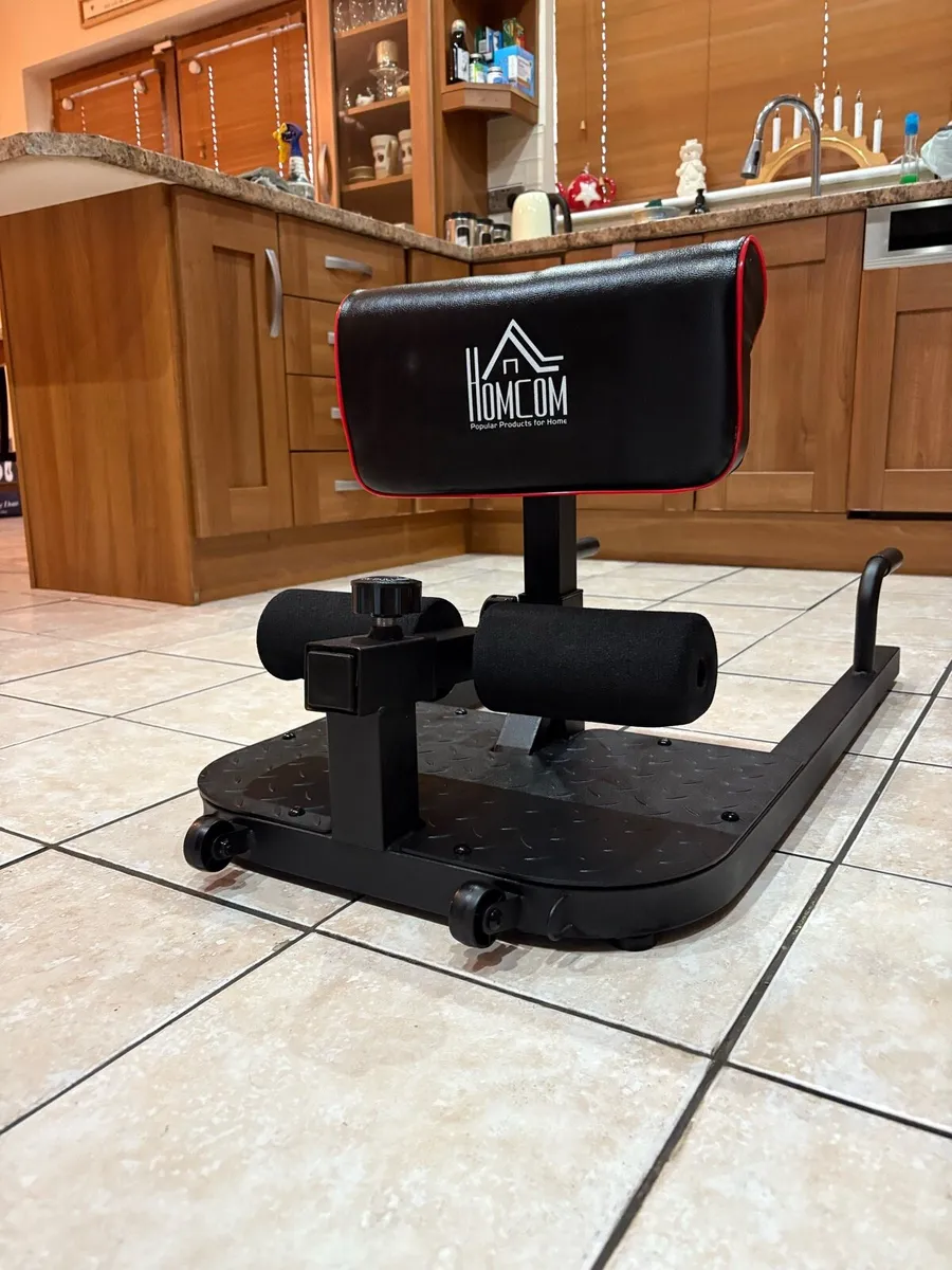 SISSY SQUAT MACHINE, DEVELOP GLUTES AND LEGS!! - Image 4