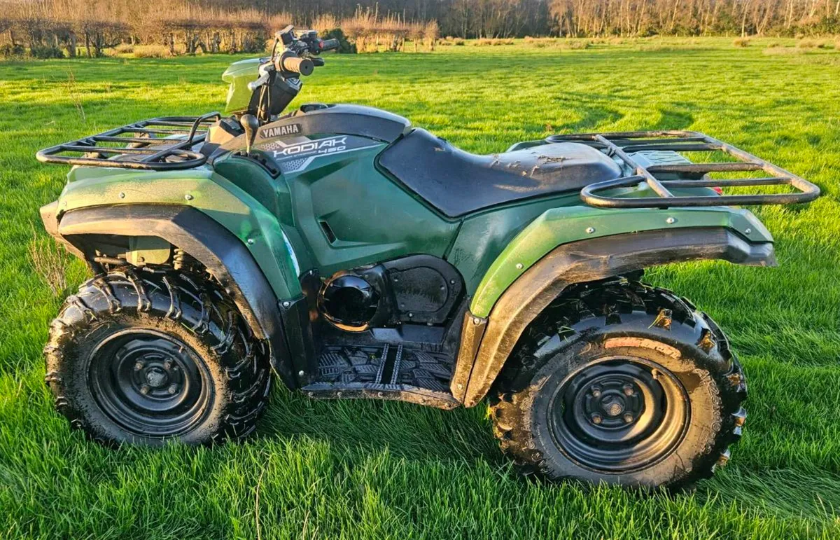 Yamaha kodiak 450 - Image 1