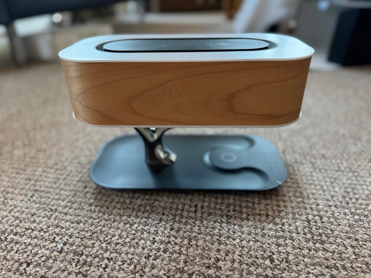 MASDIO “Light of Tree” Design Lamp – New / Unused - Image 4