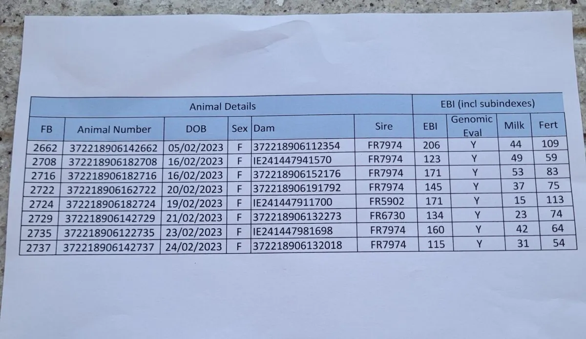 Dairy stock - Image 1