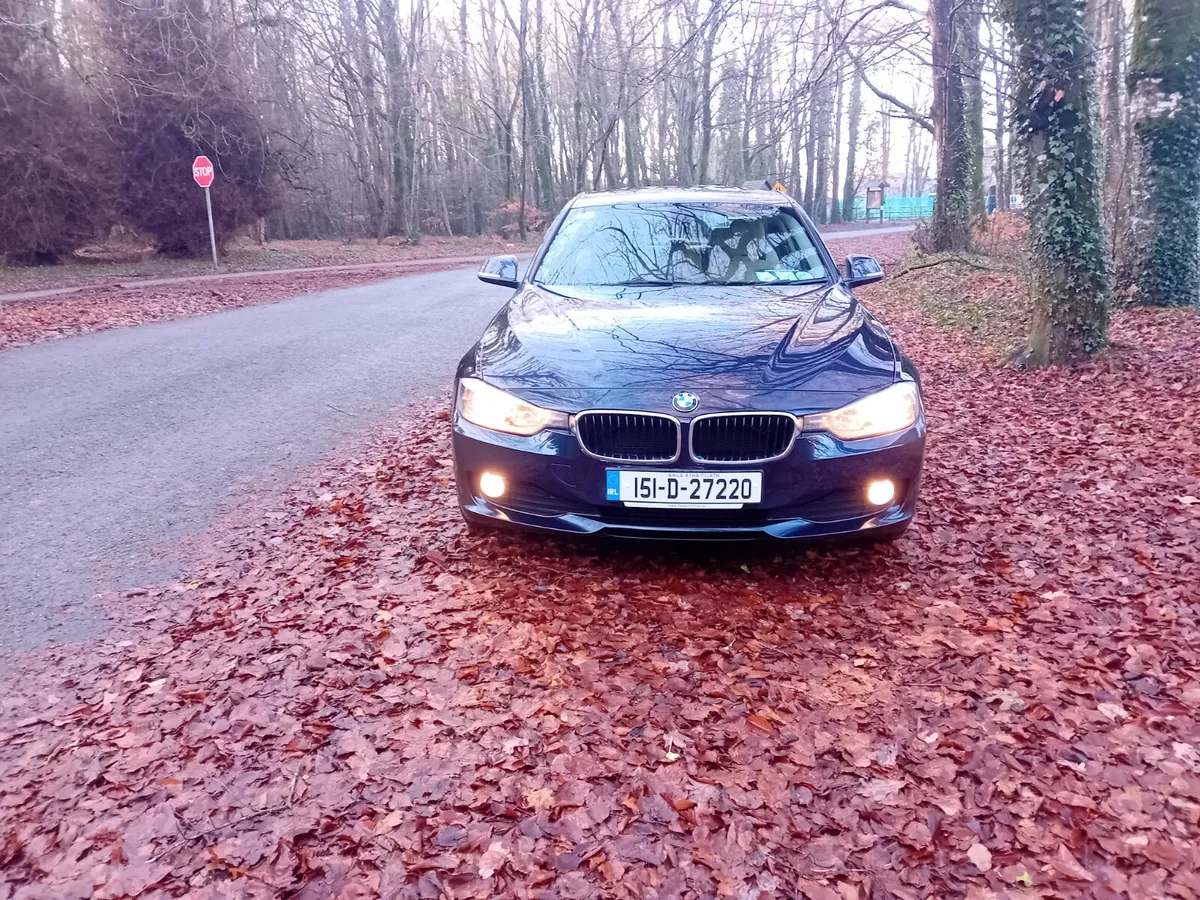 151 BMW 320D SE 6 SPEED 184 KLMS - Image 2
