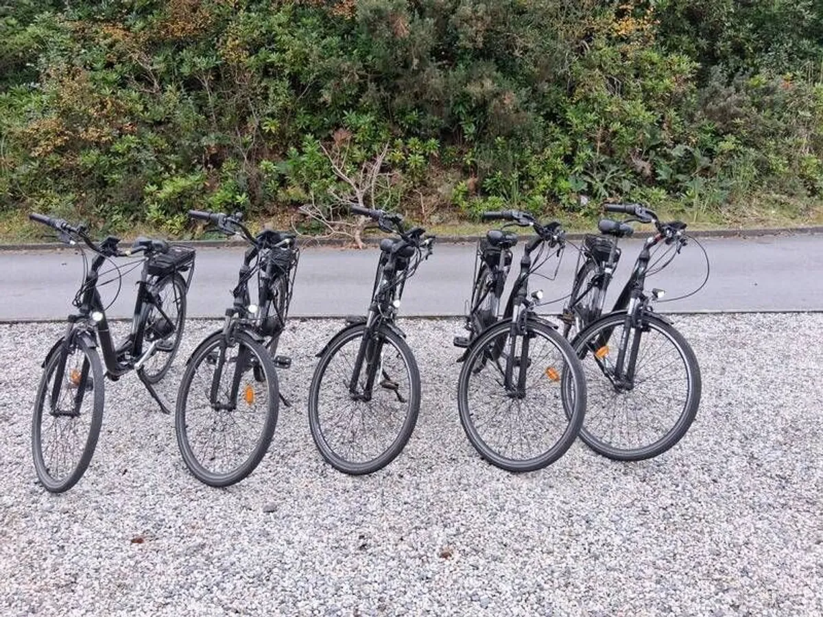 Electric Bike's - Image 1