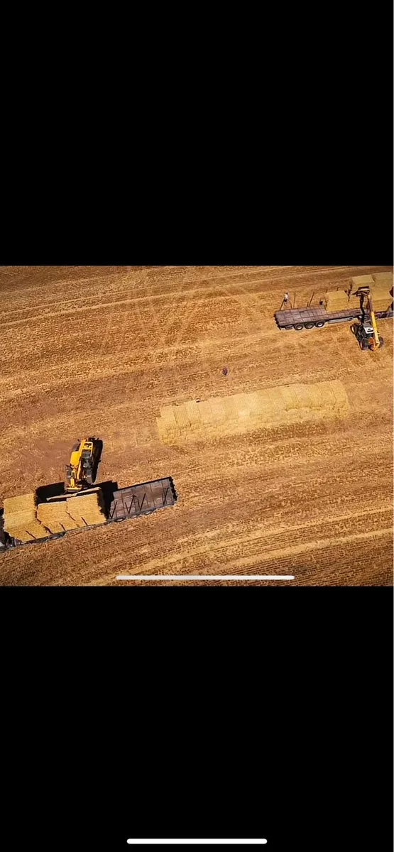 Wexford straw delivered direct