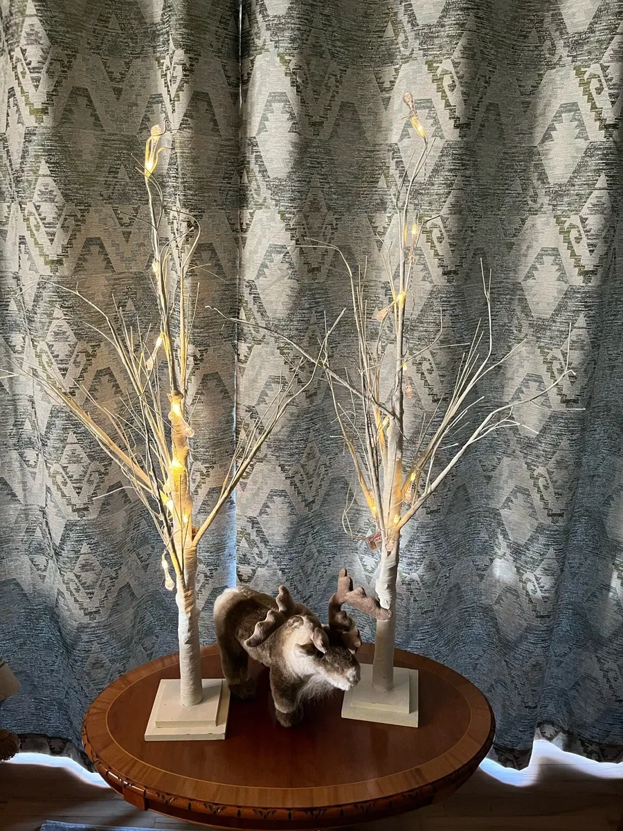 Birch trees with lights - Image 1