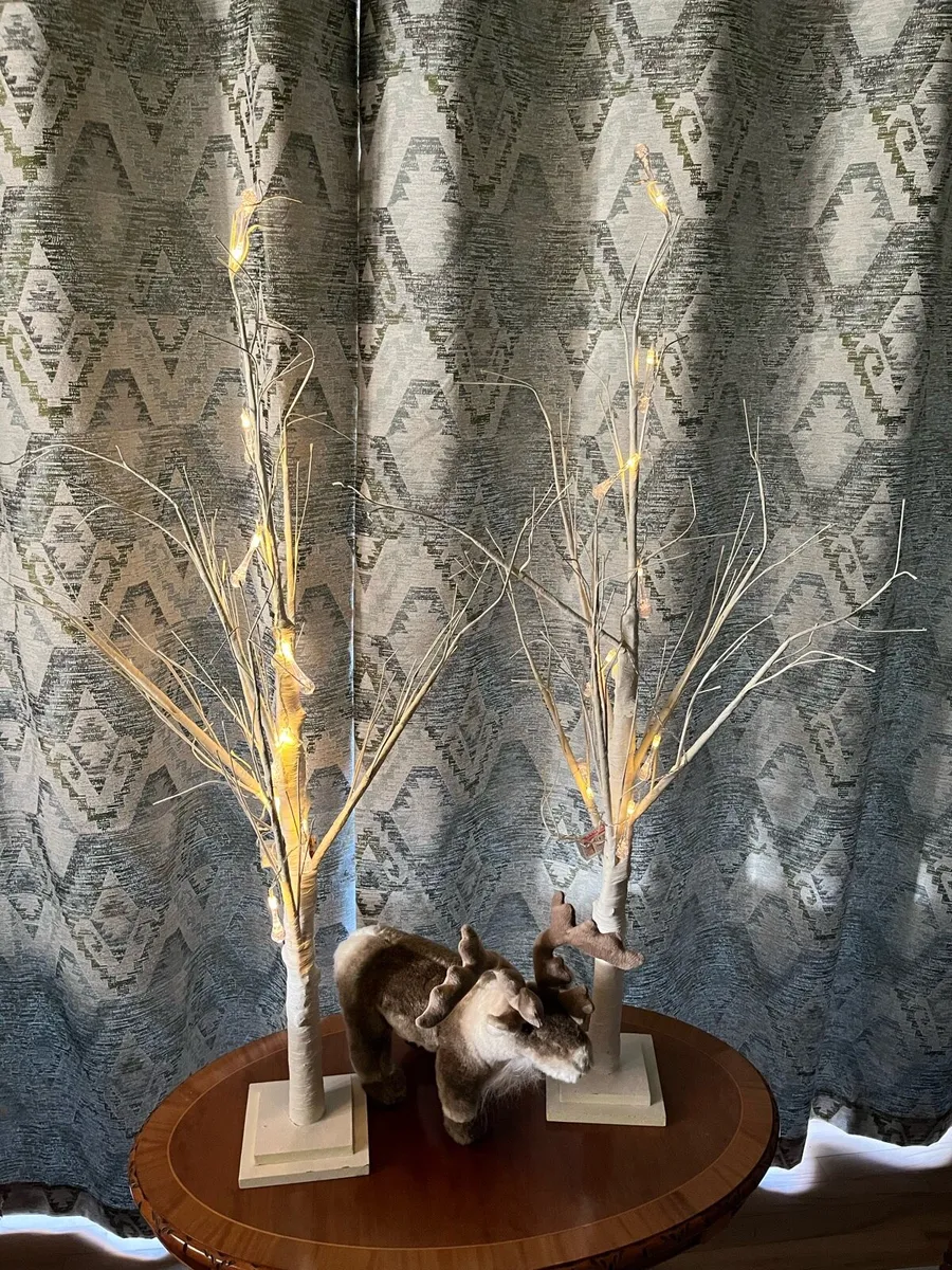 Birch trees with lights - Image 2